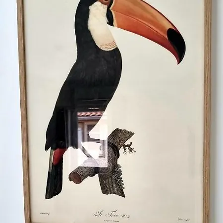 Victoire Opale 202 Climatise De סן-דיזייה