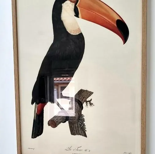 Victoire Opale 202 Climatisé De Saint-Dizier