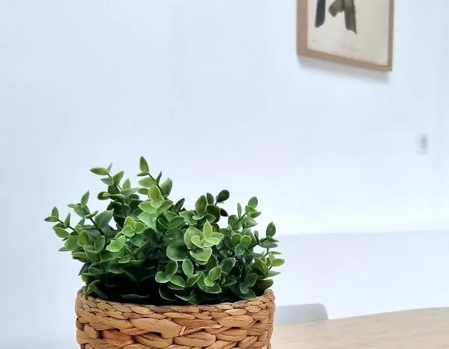 Victoire Opale 202 Climatisé De Apartamento Saint-Dizier